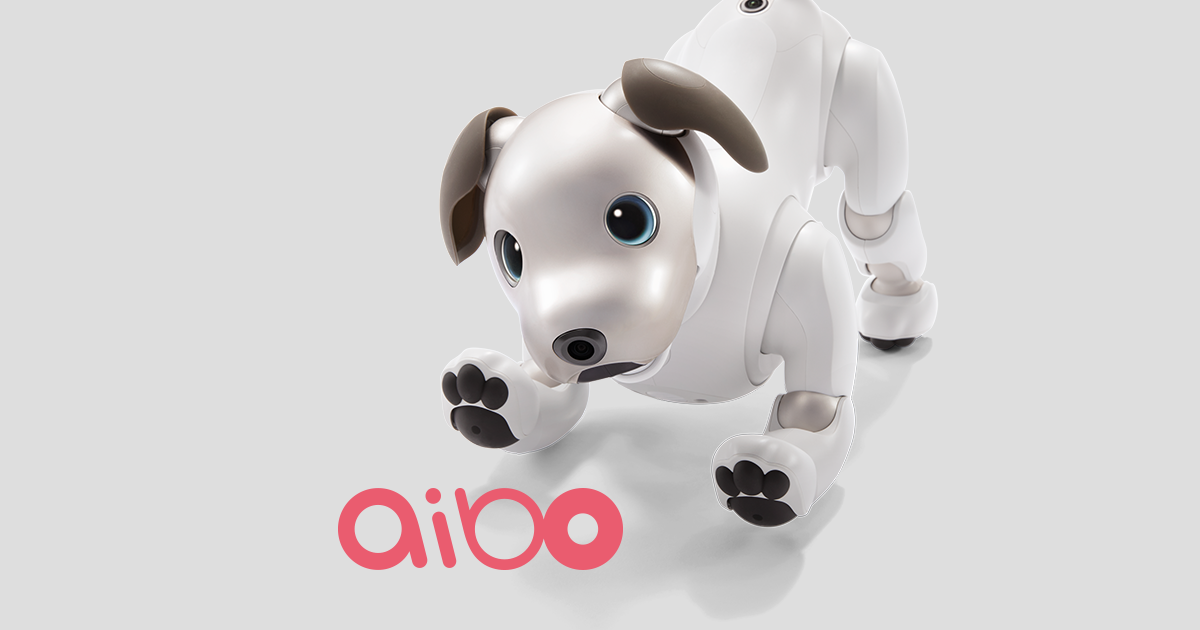 aiboプレミアムプラン | aibo