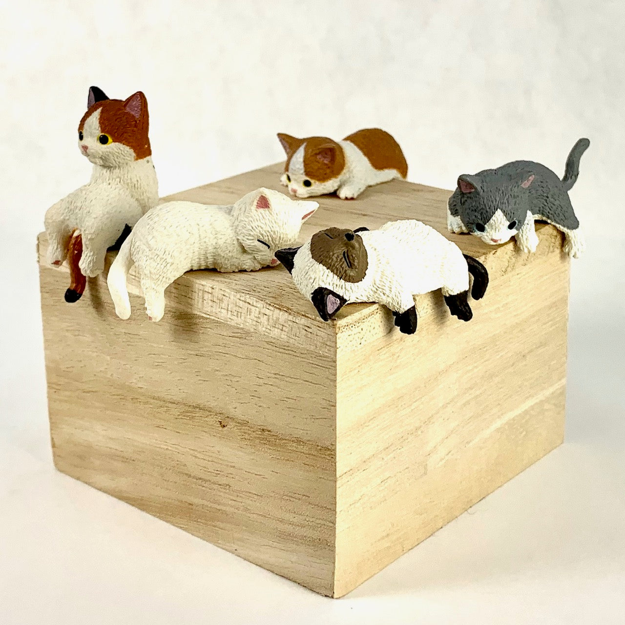 70738 PLAYFUL HANGING CAT BLIND BOX-10 – BCmini