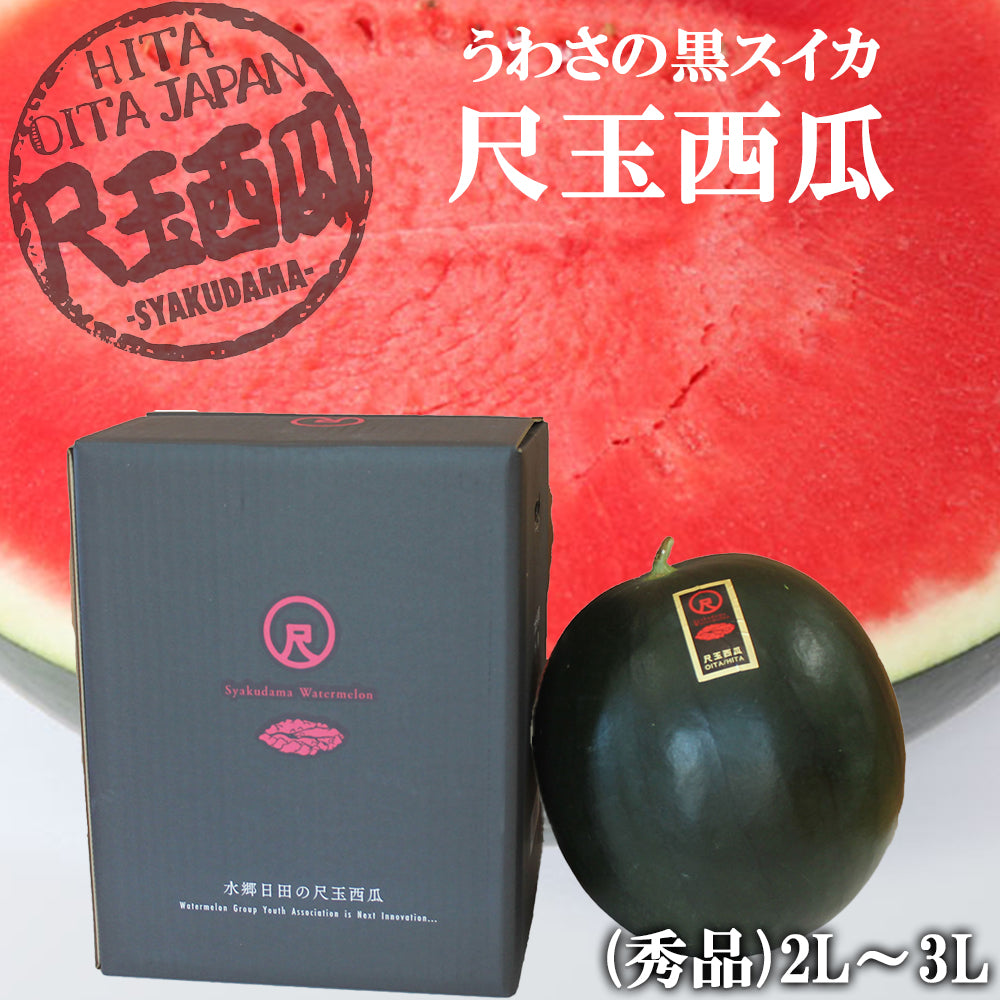 予約販売中】日田尺玉西瓜 うわさの黒スイカ 大玉 秀品 2L～3L（約7
