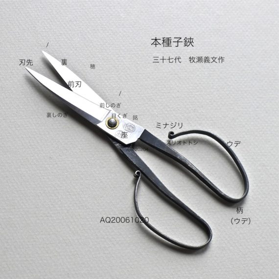 木とジョイントの専門家・阿部藏之 » 「本種子鋏」鉄砲刀劍鍛冶の末裔