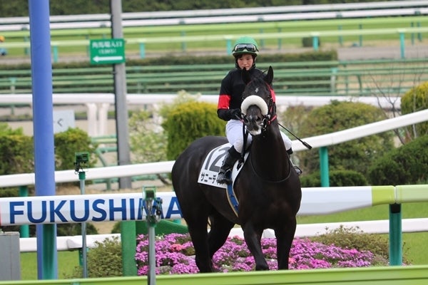 藤田菜七子騎手、祝JRA初勝利！ | メシスポ。