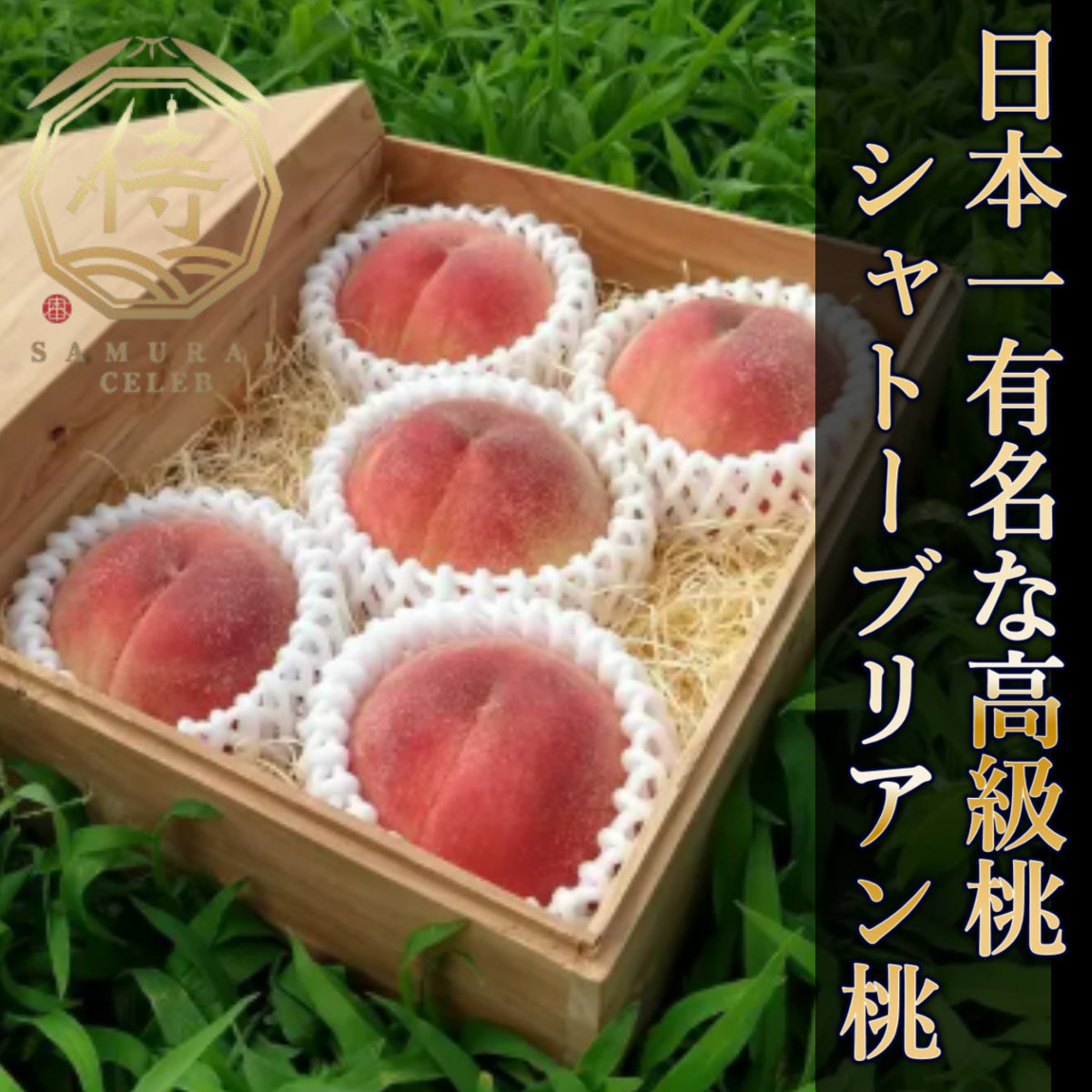 🏆世界の果てまでイッテQ！話題沸騰🏆幻のシャトーブリアン桃🍑1000個