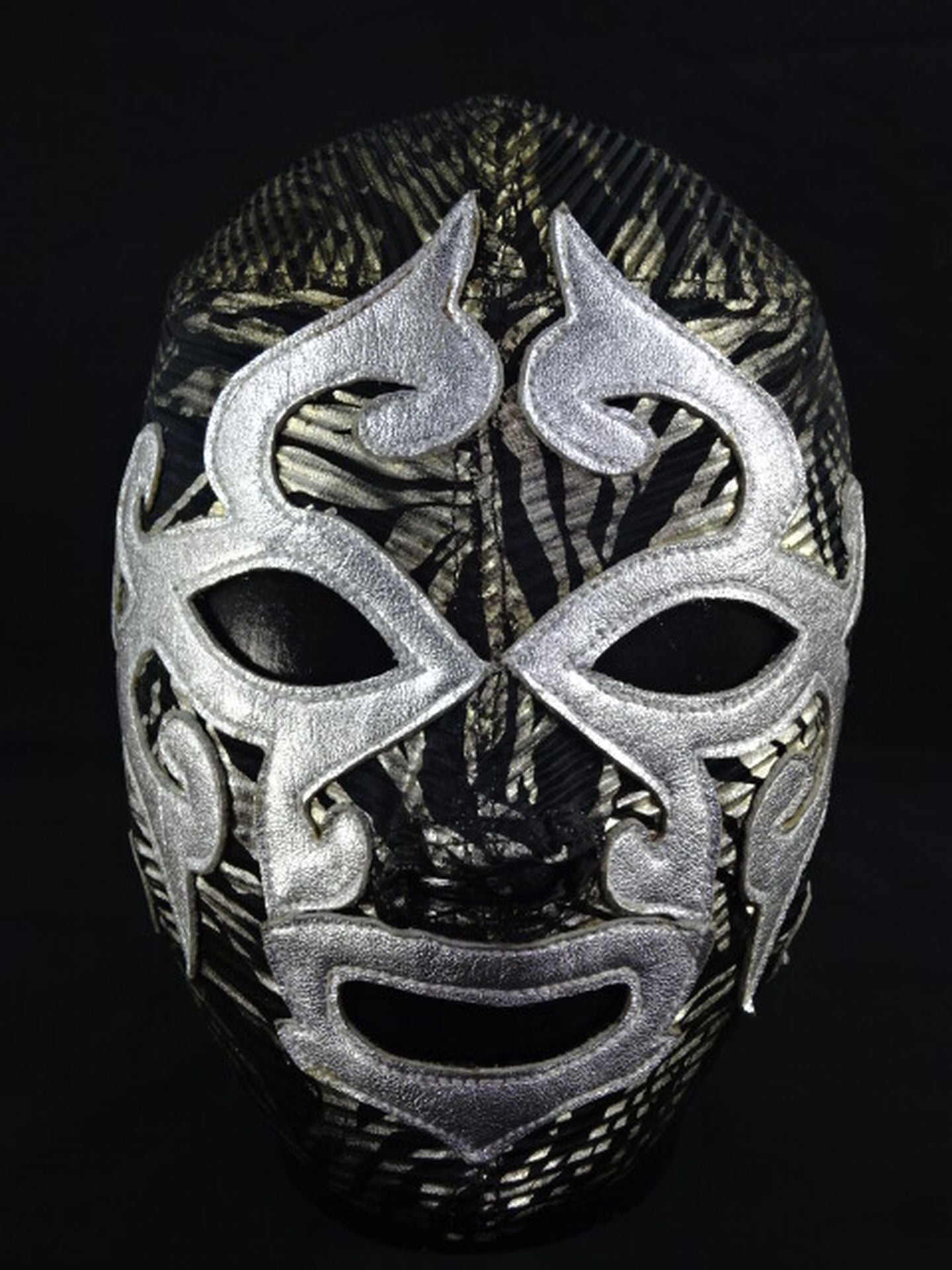 ミル・マスカラス – 闘道館