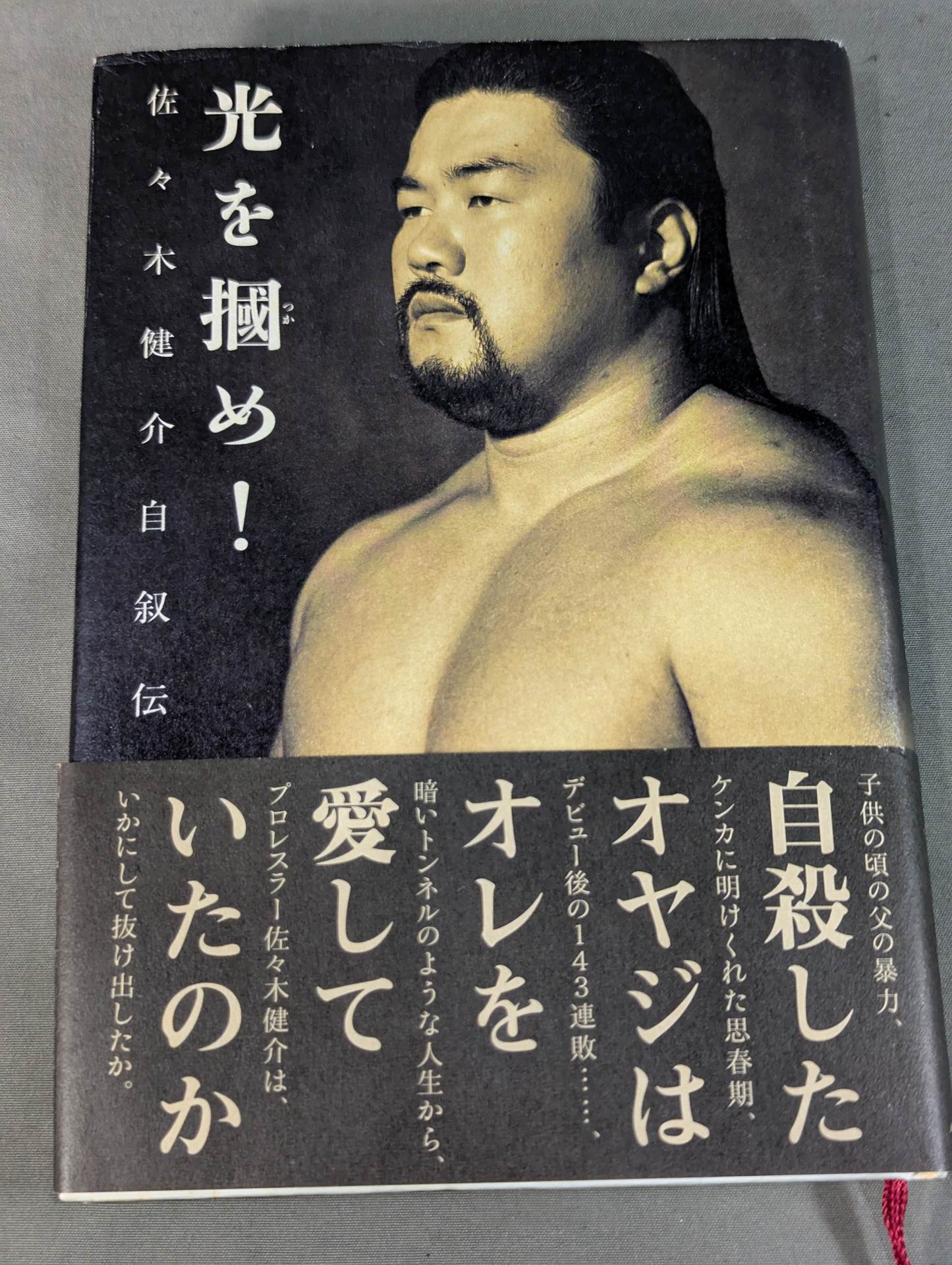 光を掴め! 佐々木健介自叙伝 – 闘道館
