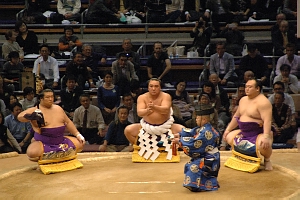 大相撲見物便覧・横綱土俵入り
