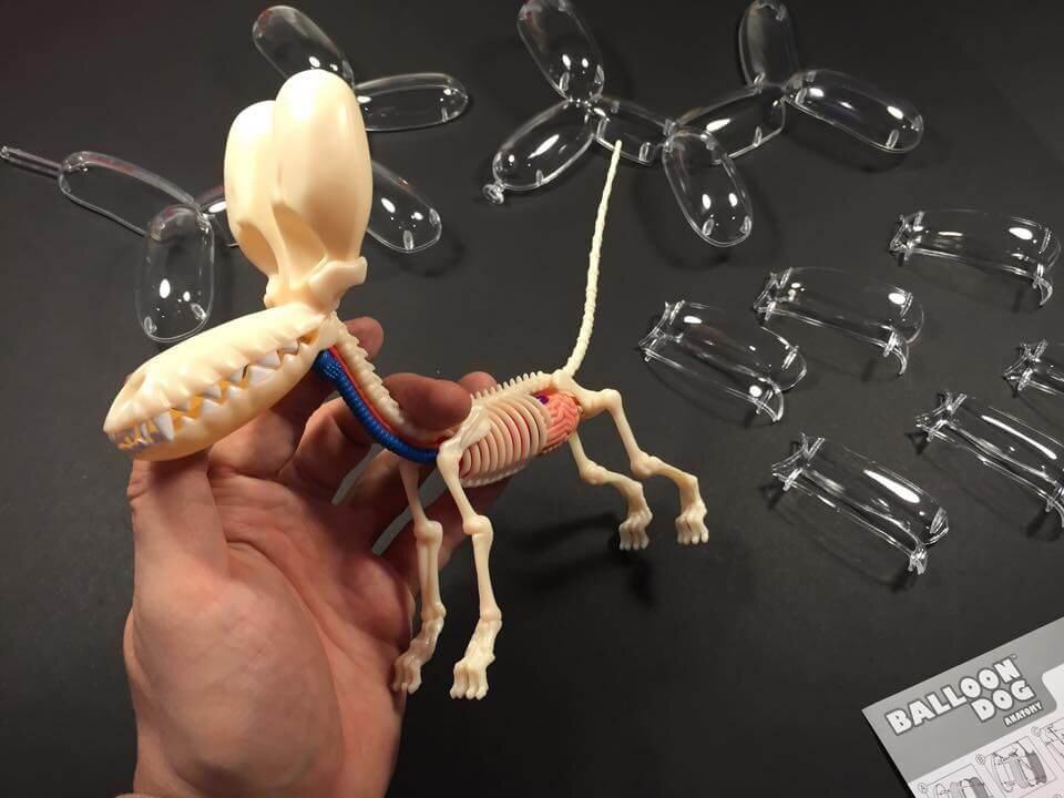 The Balloon Dog Anatomy by Jason Freeny x 4D Frame Master - The