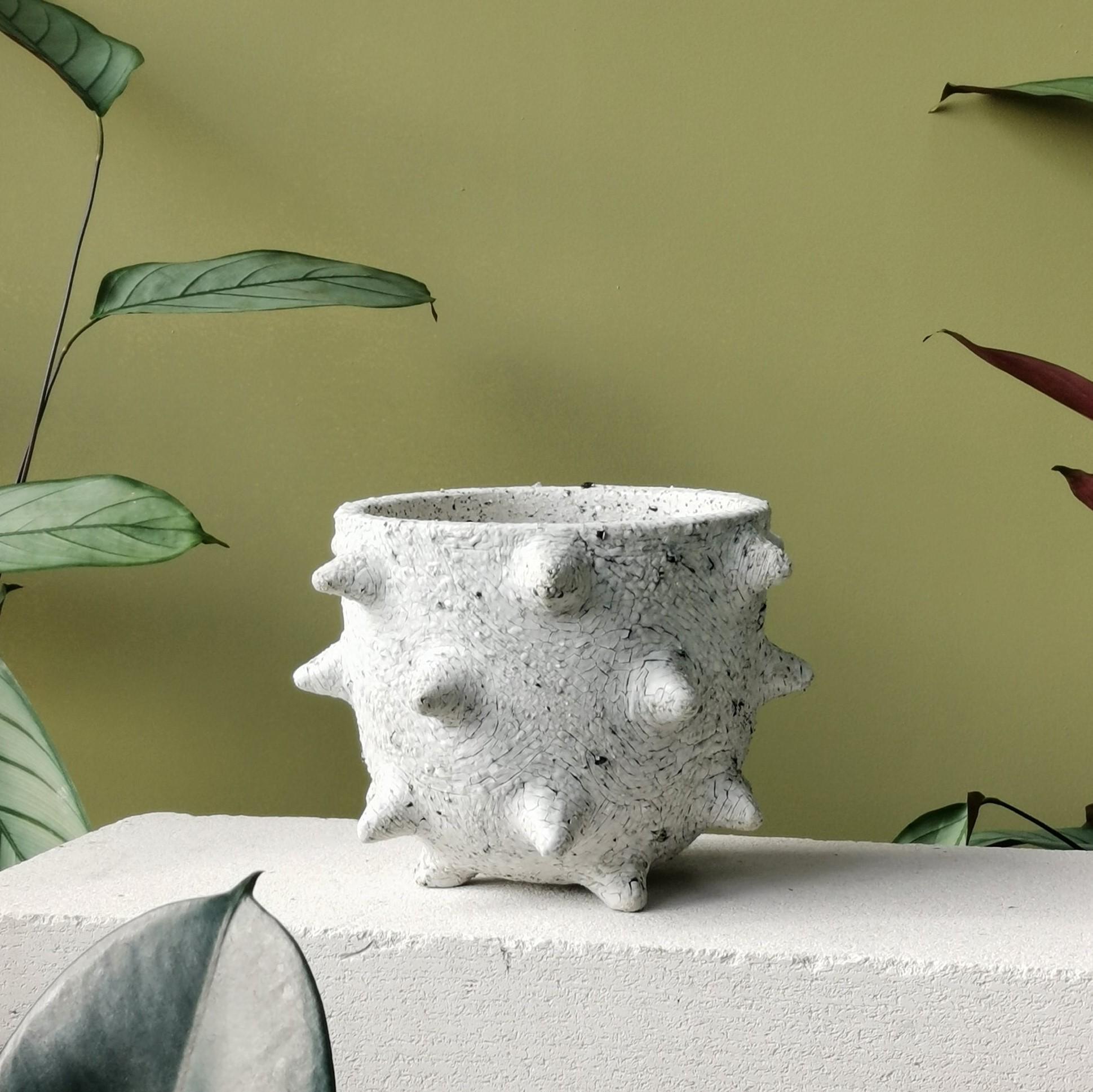 Spike Planter by Buzzby & Fang I 植木鉢 I プラントソサエティ