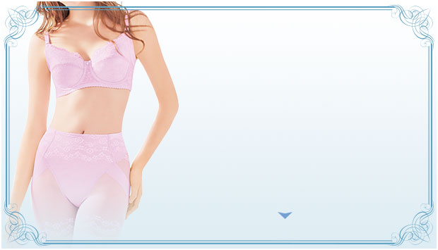 シャンデール エレガント(New柄パワーネット) | 補整下着メーカー 株式