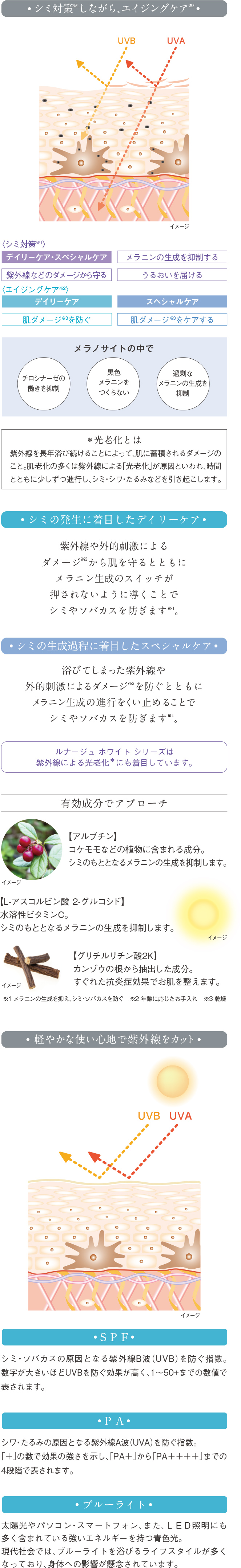 美白ケア アーカイブ - サロン ド フルベール 商品情報