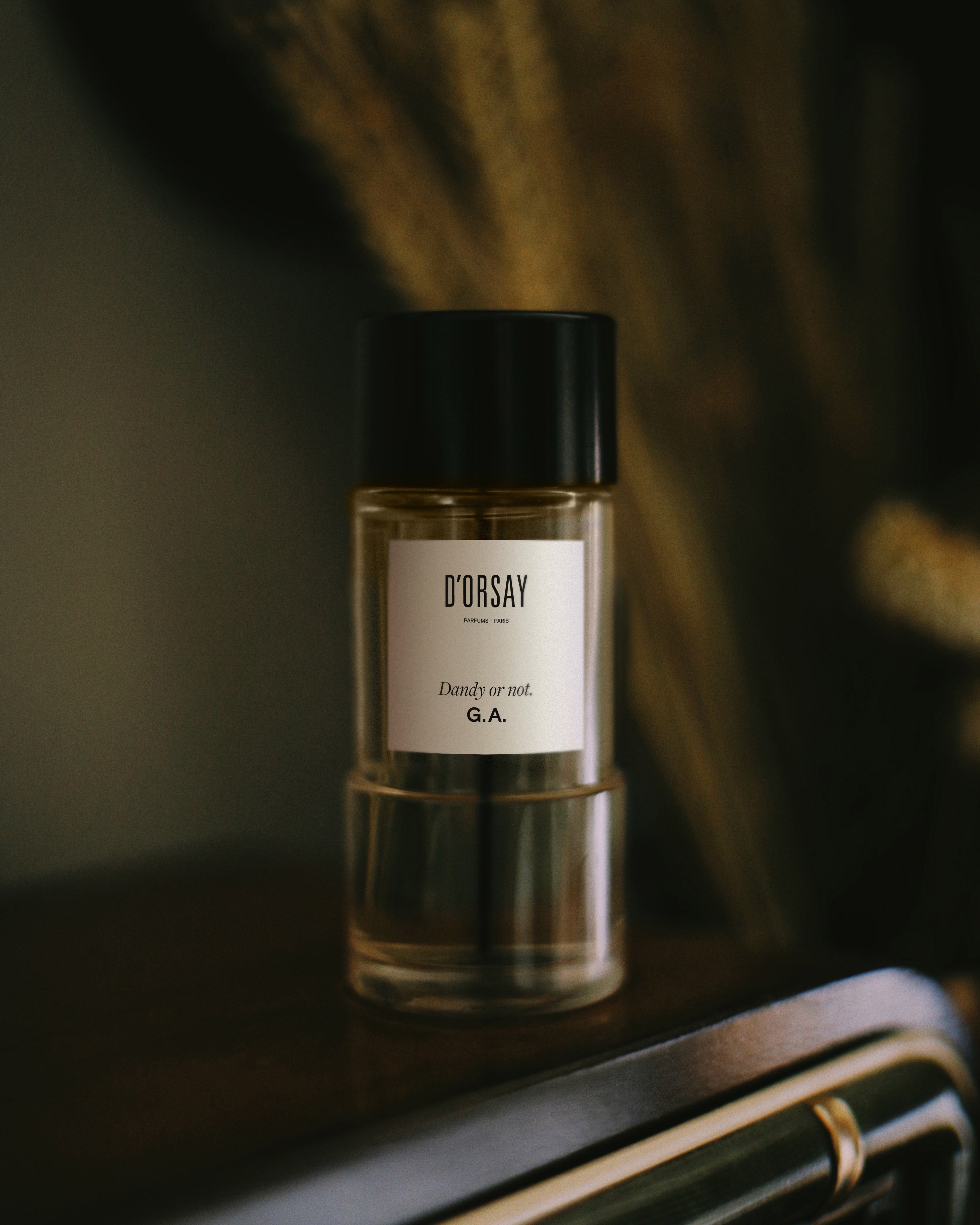 Dandy or Not. G.A. – Maison D'ORSAY