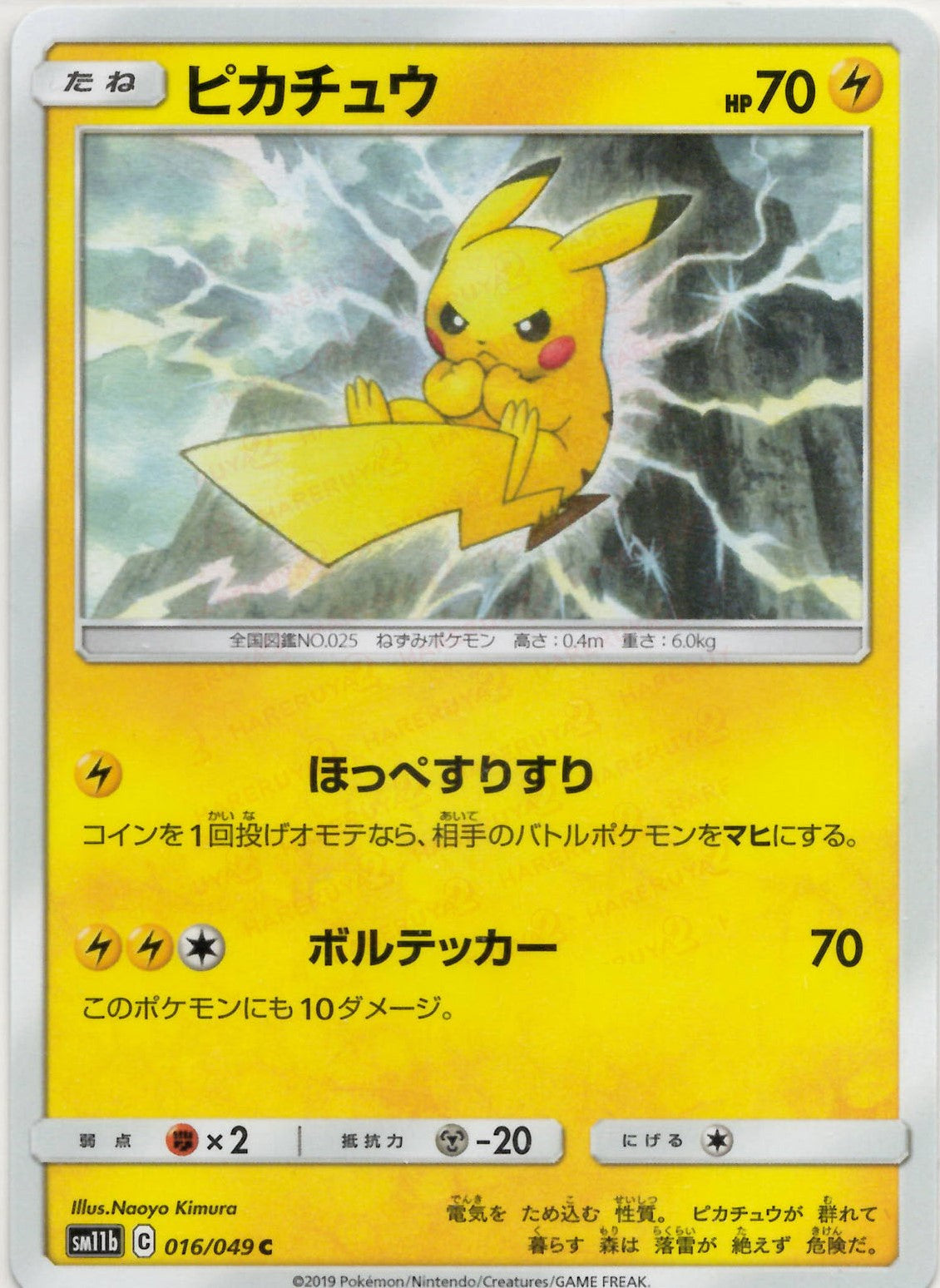 ピカチュウ(C){雷}〈016/049〉[SM11b] – 晴れる屋2