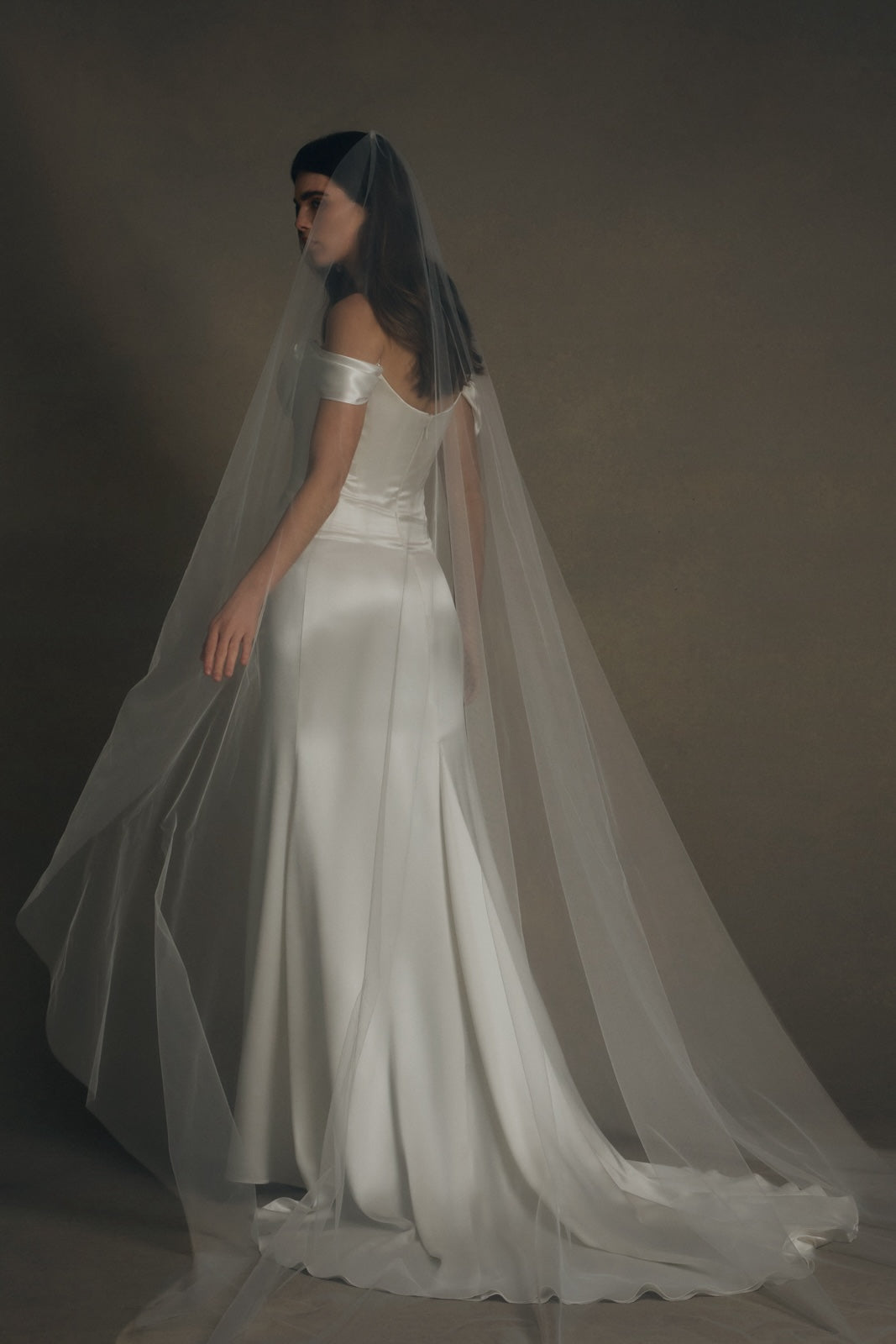 Cathedral Length Tulle Veil – Katherine Tash