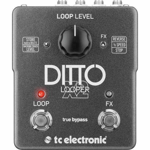 TC Electronic Ditto X2 Looper | Music Experience | Shop Online