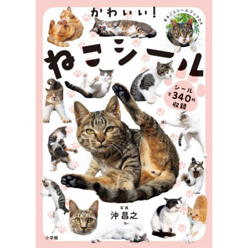 かわいい！ねこシール 通販｜セブンネットショッピング