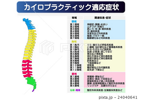 カイロプラクティック適応図のイラスト素材 [24040641] - PIXTA