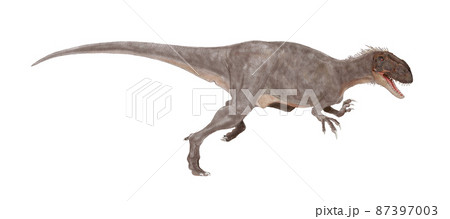 アフロベナトル 肉食恐竜 ニジェールで発見されたジュラ紀中期の獣脚類