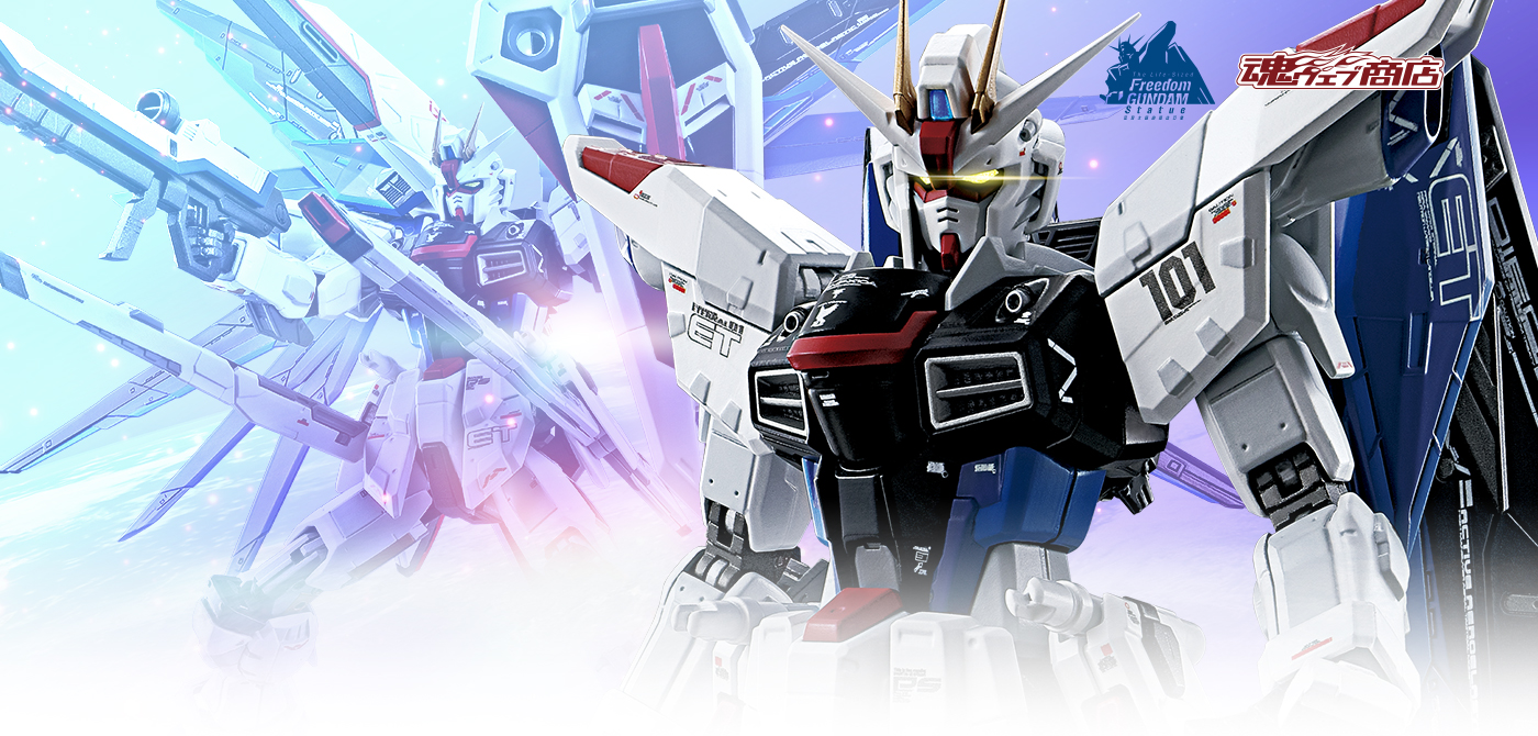 超合金 ZGMF-X10A フリーダムガンダム Ver.GCP | 魂ウェブ