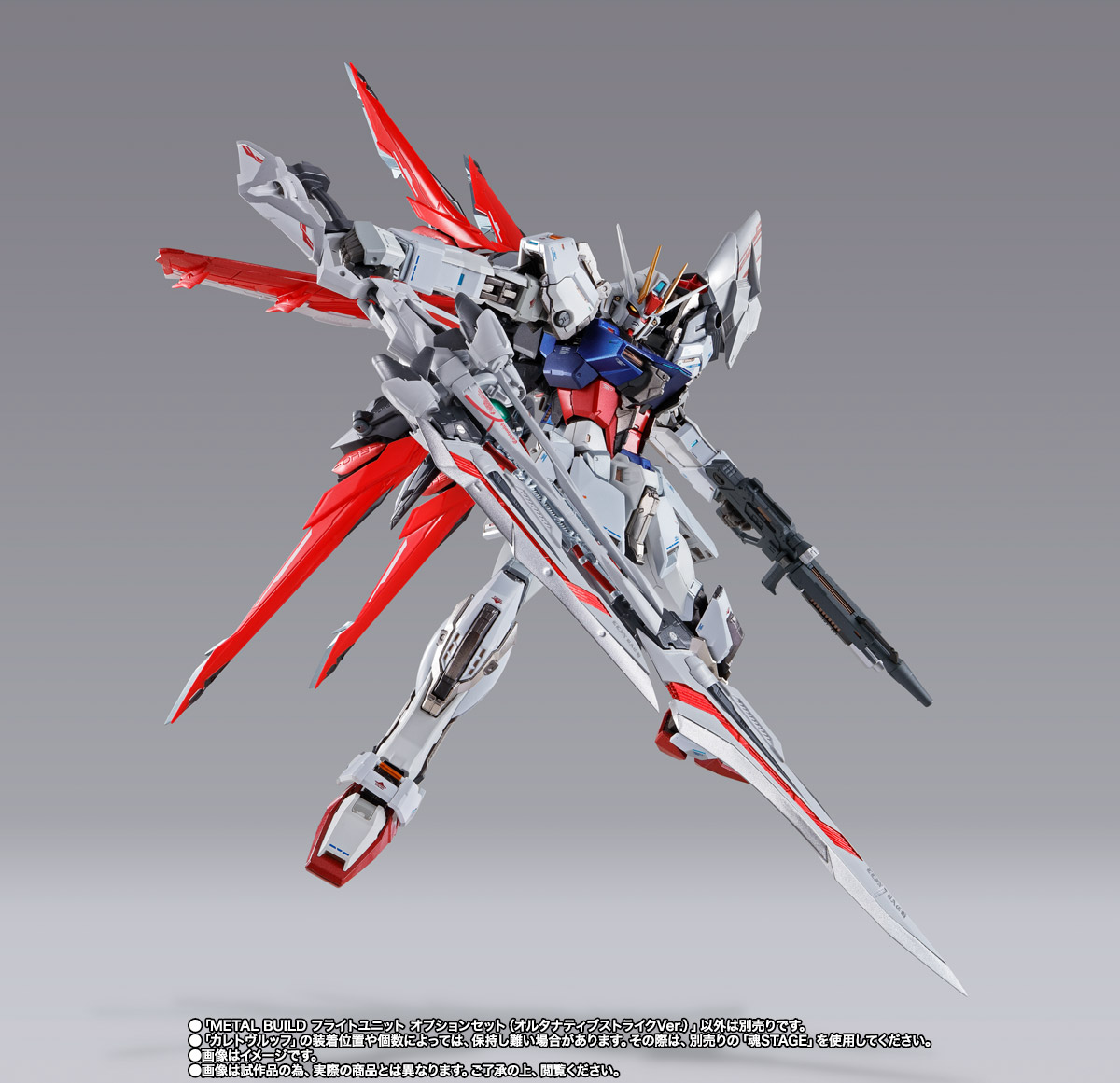 METAL BUILD フライトユニット オプションセット（オルタナティブ