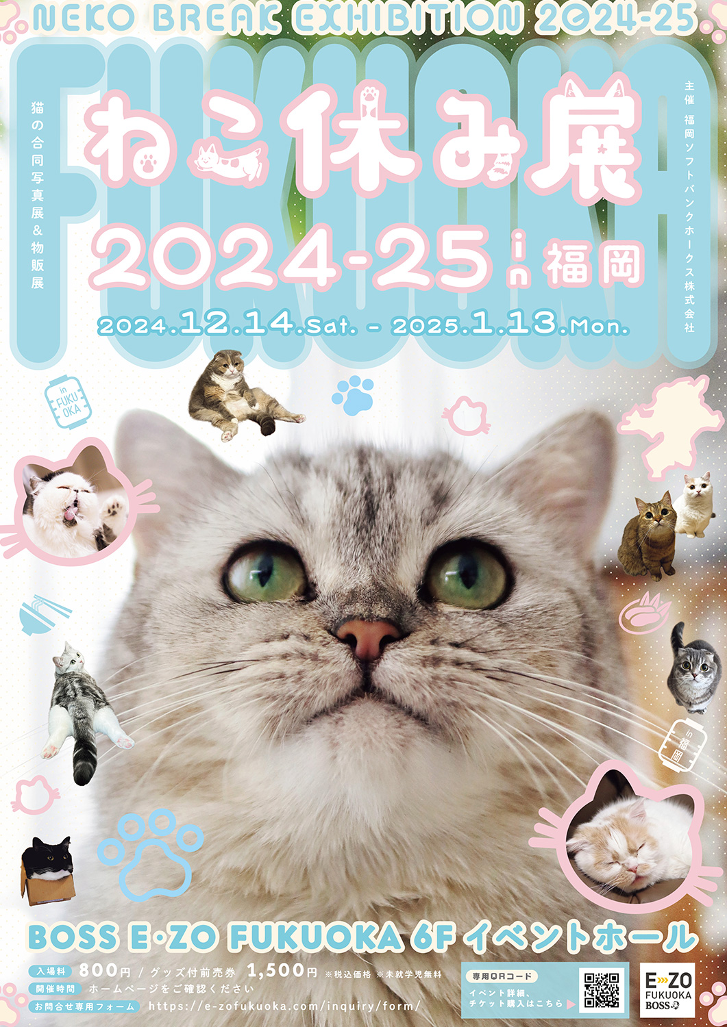 ねこ休み展 2024-25 in 福岡」