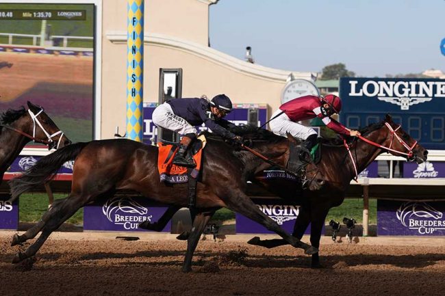 競馬のBCクラシック優勝はどのくらい凄い？ フォーエバーヤング大快挙