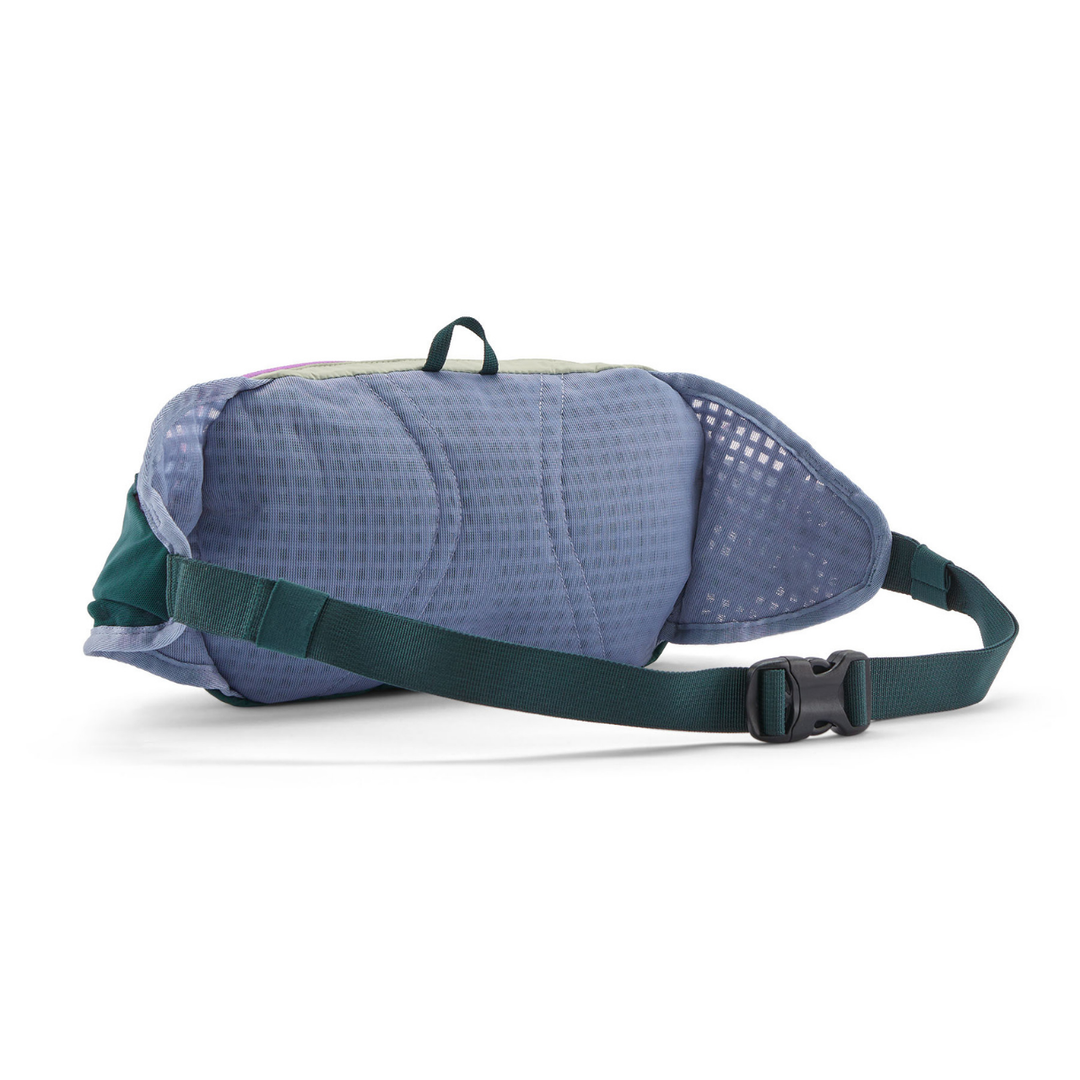 Patagonia Terravia Hip Pack 4L – Alpinistas