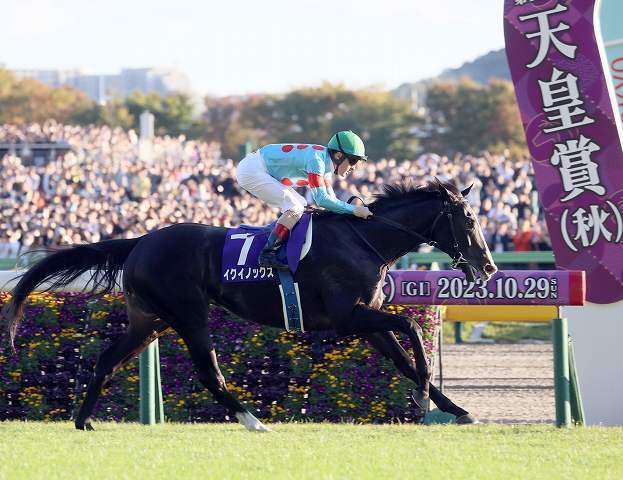 ディープインパクトでもオルフェーヴルでもない「日本競馬の史上