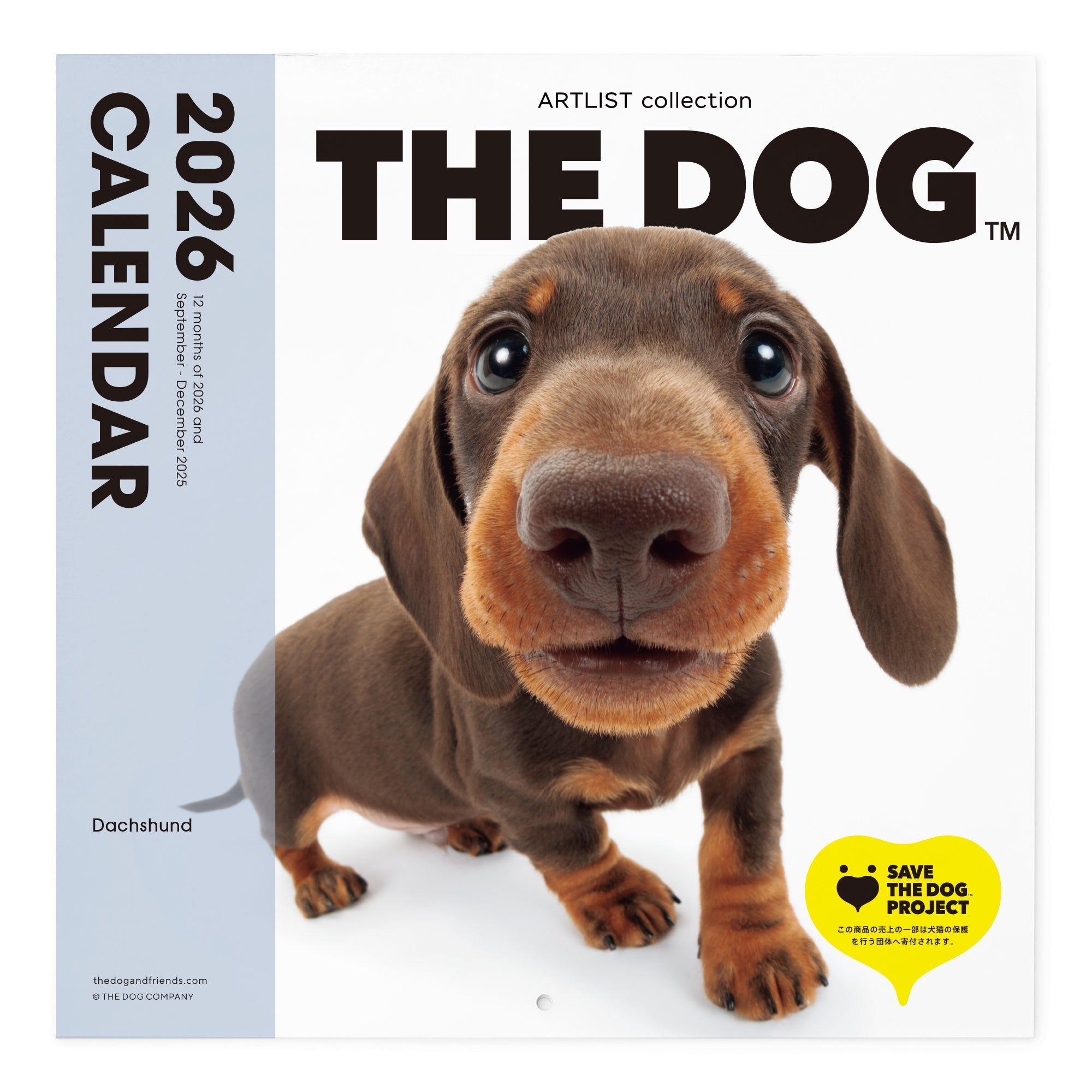 Dachshund | The Dog Store | The Dog Official Online Shop – THE DOG