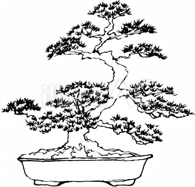 盆栽 毛筆イラスト 手書きイラスト - No: 974678｜無料イラスト