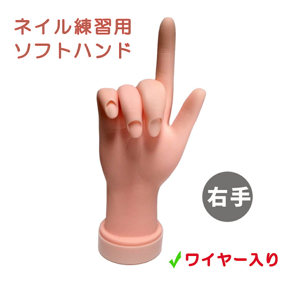 楽天市場】ネイル練習用の通販