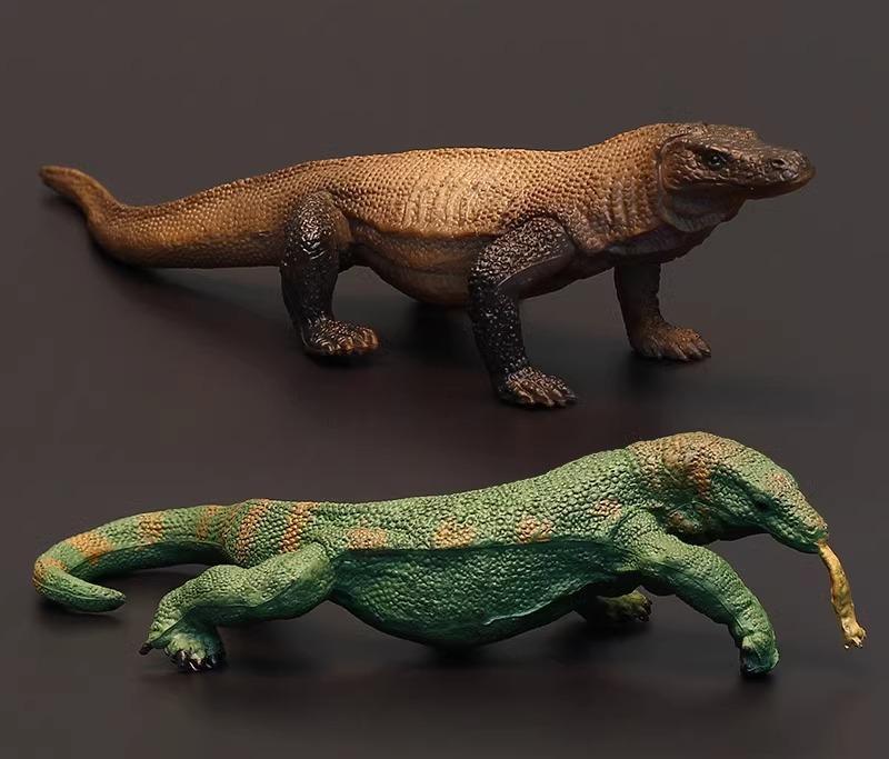 楽天市場】コモドドラゴン コモドオオトカゲの通販
