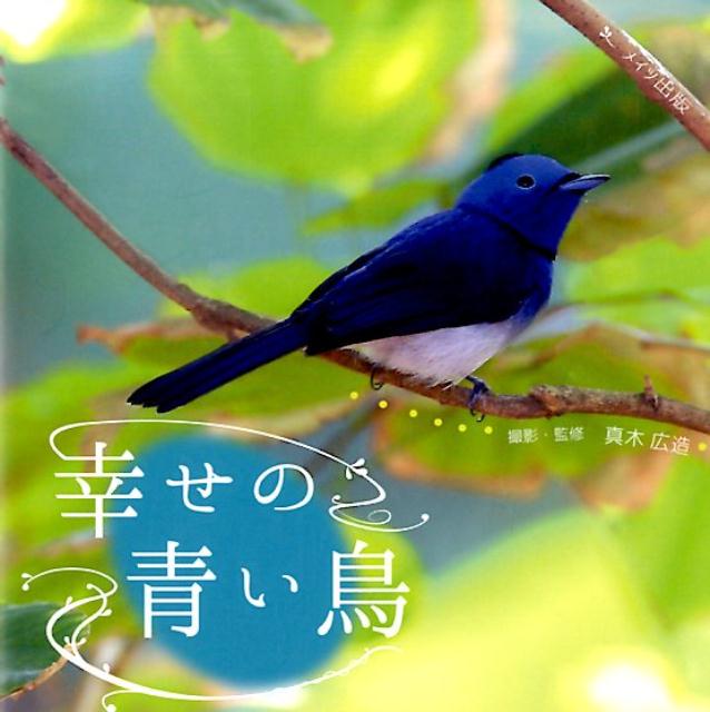楽天市場】幸せ の 青い 鳥の通販