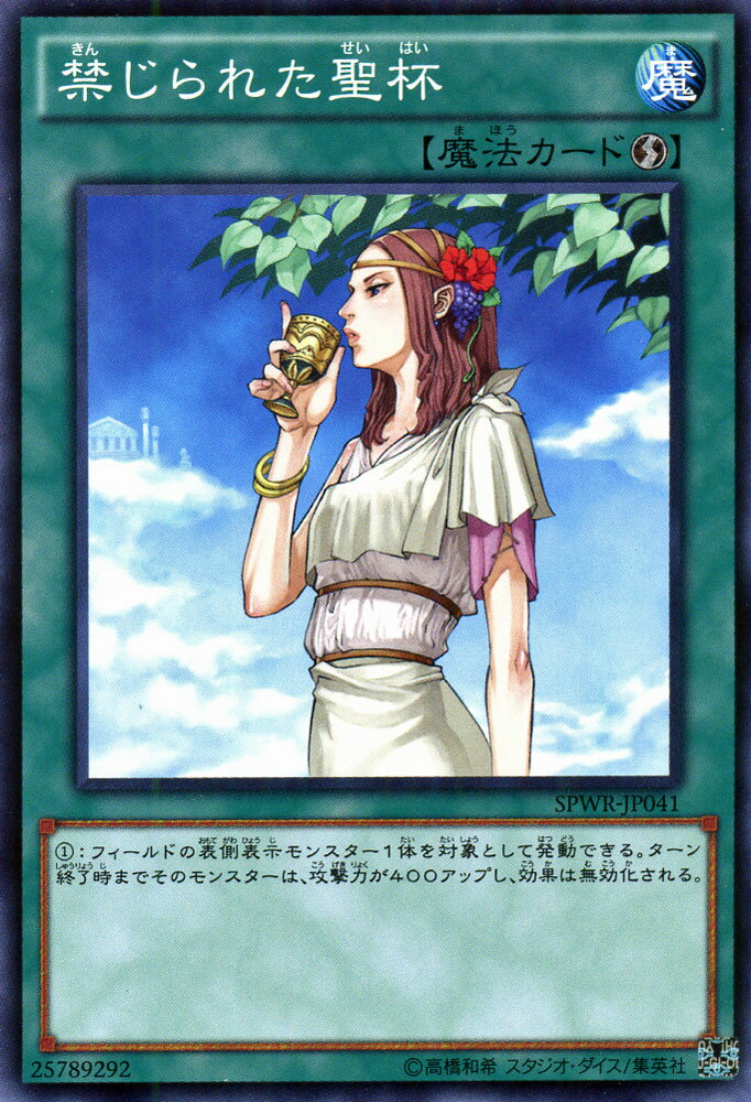 spwr-jp041-n.jpg