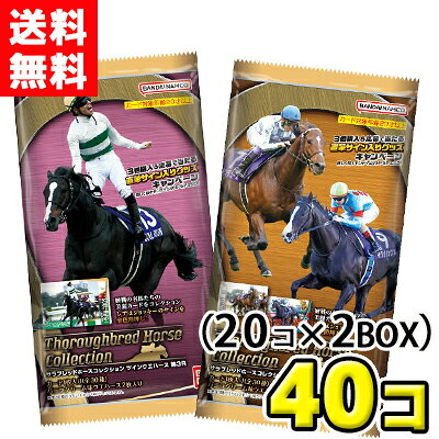 楽天市場】サラブレッド カードの通販