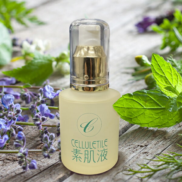 楽天市場】セルティユの通販