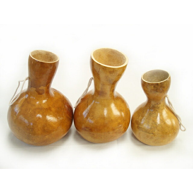 楽天市場】フラ 楽器 イプの通販