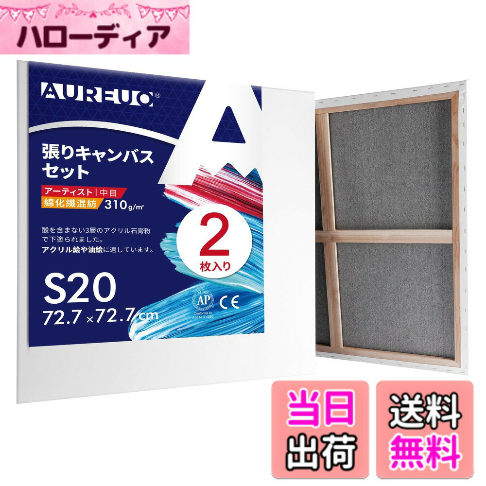 楽天市場】張りキャンバス s20の通販