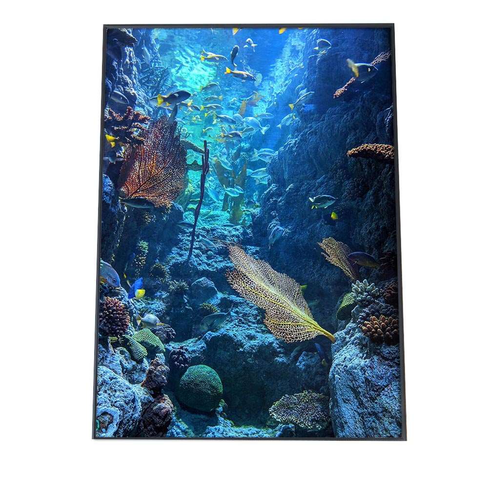 楽天市場】水中ポスターの通販