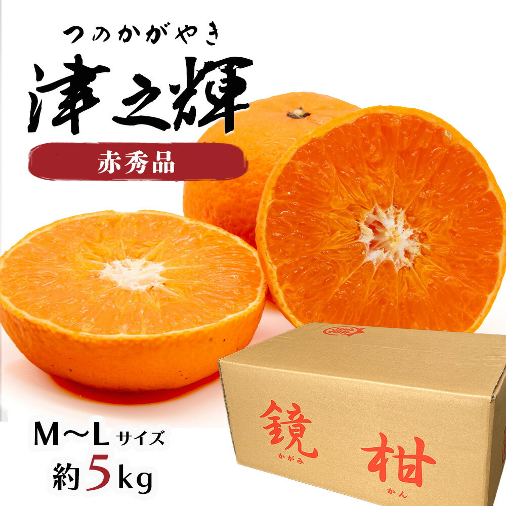 限定販売品！「津の輝」「せとか」3年生セット販売品！ 楽天市場】津