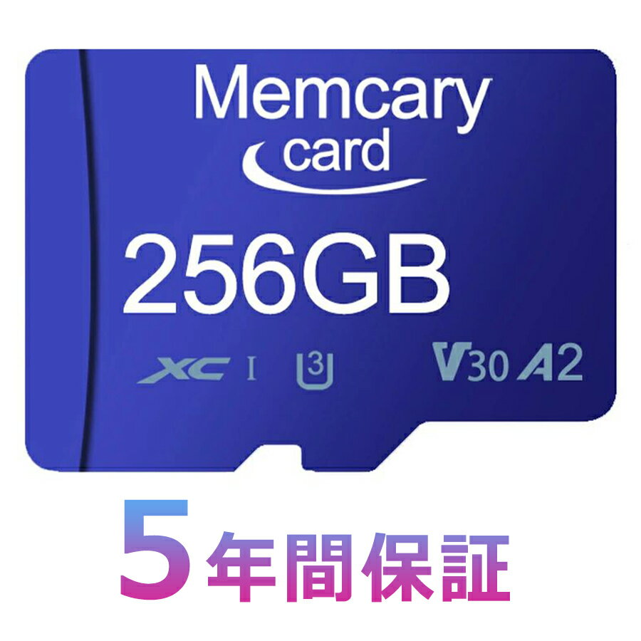 microsdxchccard66_1.jpg