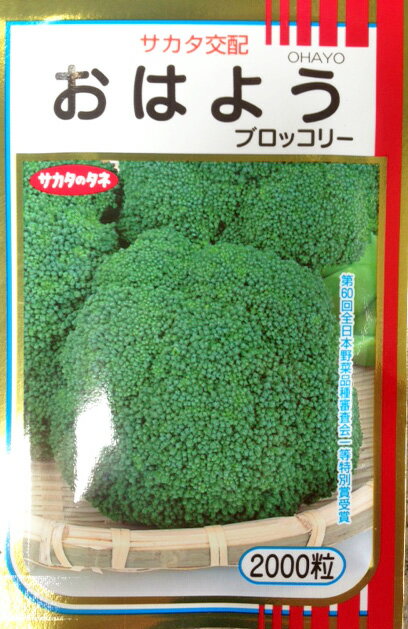 楽天市場】ブロッコリー 種子 5000粒の通販