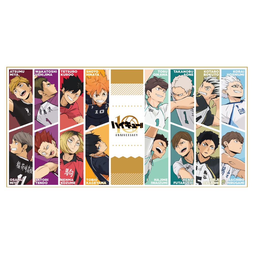 公式オンラインストアハイキュー!! 10th Anniversary ビッグタオル KV