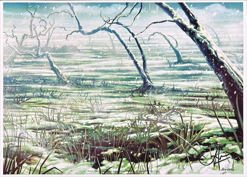 MTG専門店|東京MTG】MTGカード・アート通販サイト