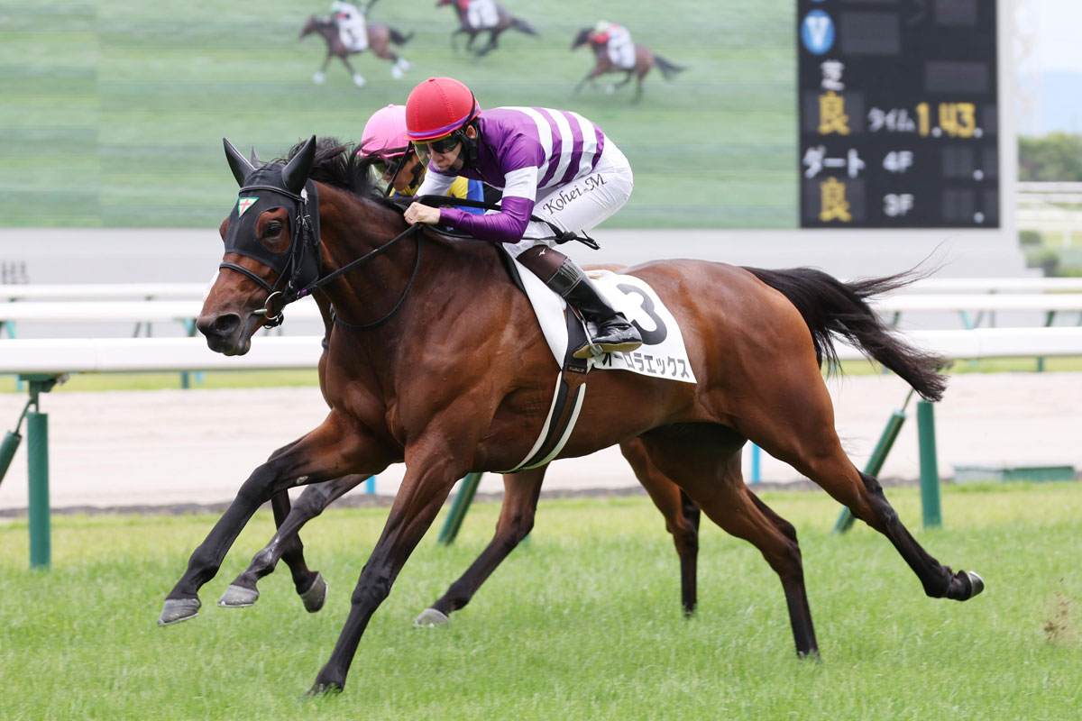 ローズS追い切り】春の雪辱期すタガノエルピーダが好気配 斉藤崇史