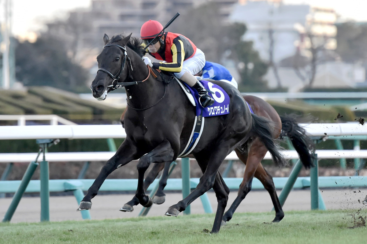 2024年格付け／2歳馬部門・芝】クロワデュノール過去の勝ち馬と