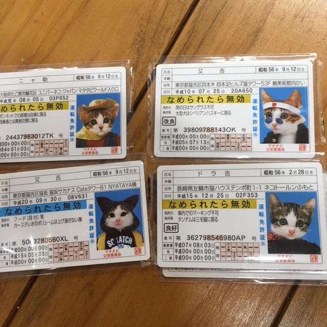 なめ猫カード・店長コレクション(^^♪ | ぷちコミュニティハウスとびら