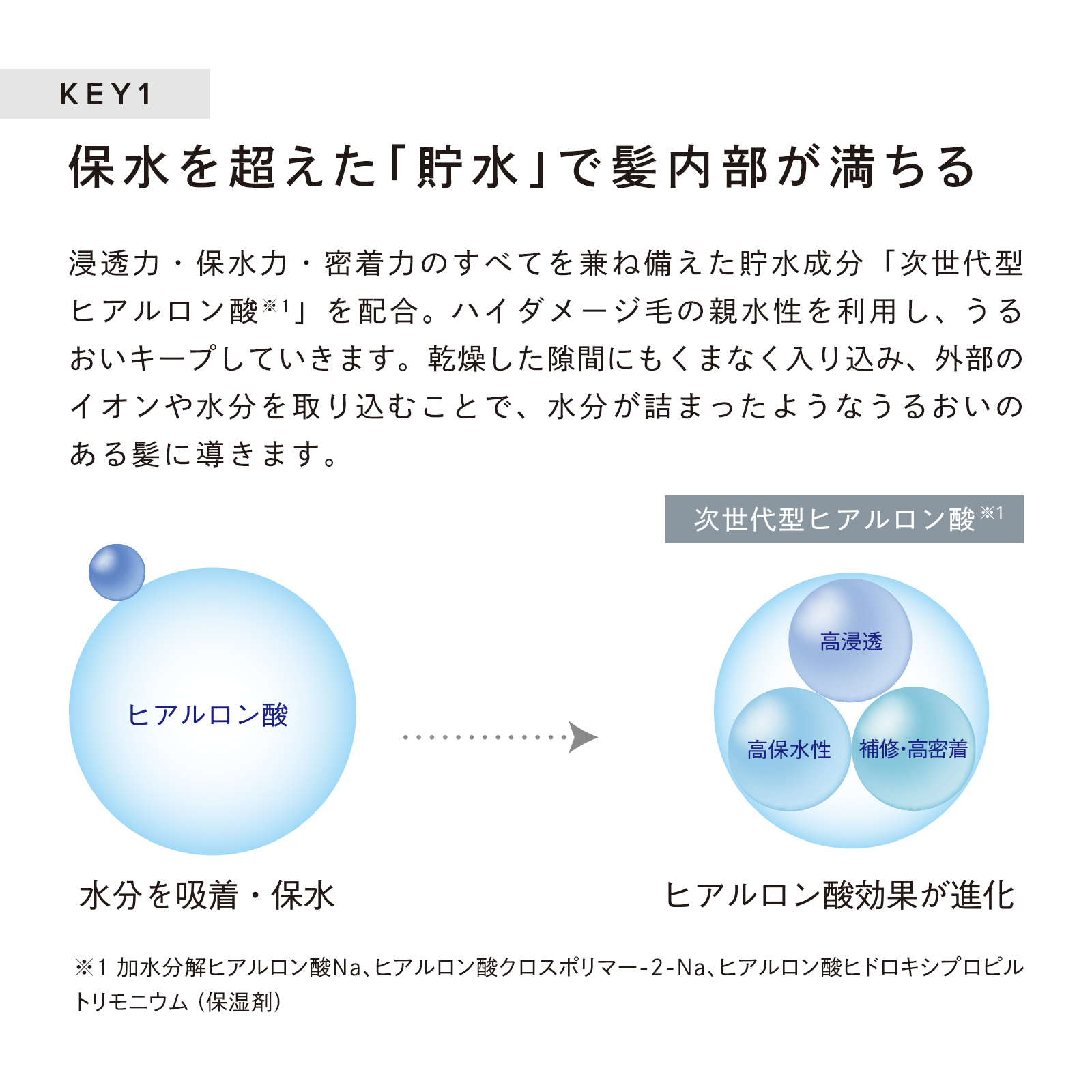 楽天市場】リファビューテックシャンプー 詰め替え 1000mL & リファ