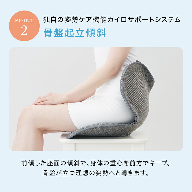 楽天市場】スタイル スタンダード N01 生地なし Style Standard 骨盤