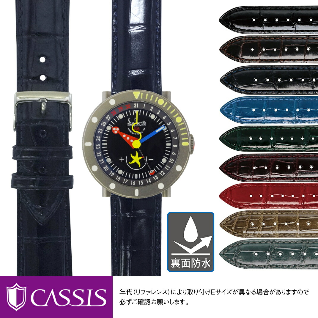 Alain Silberstein 腕時計 ストラップセット ツールボックス MORELLATO（モレラート） アラン シルベスタイン 用 ALAIN SILBERSTEIN