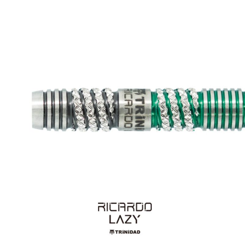 楽天市場】【SS限定10%offクーポン】 ダーツ リカルドレイジー 浅田斉