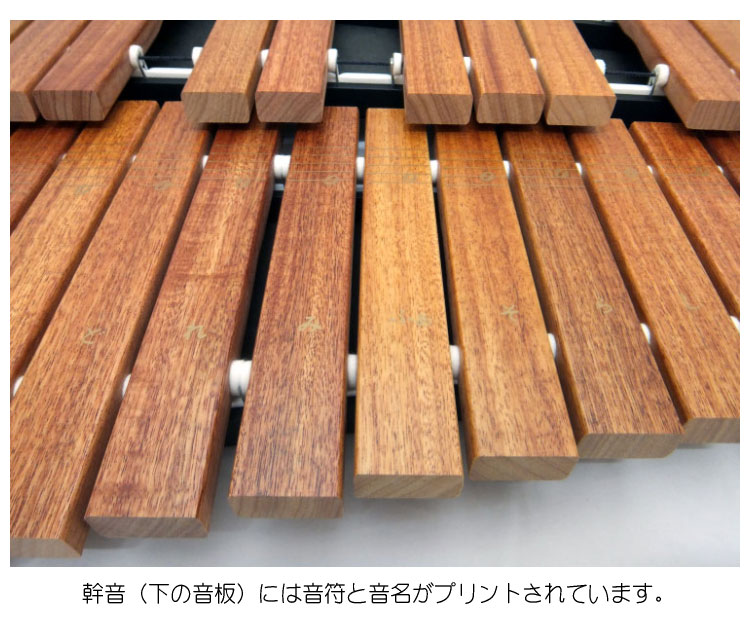 ゼンオン シロフォン 木琴 ZX-32P 32音 マレット付 ゼンオン 木琴